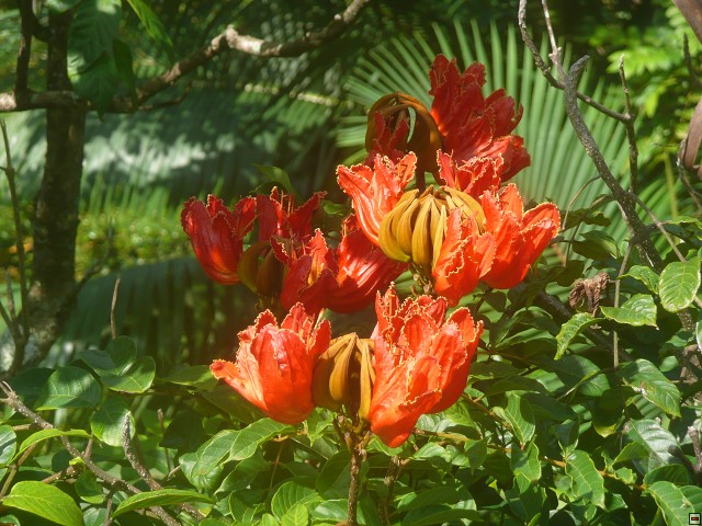 img00001.jpg
