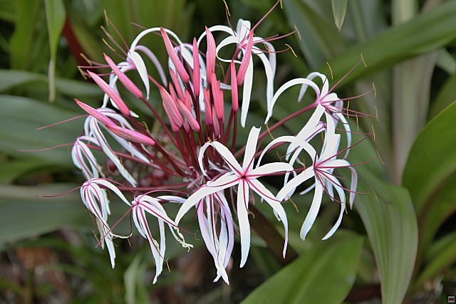 img00006.jpg