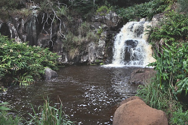 img00033.jpg