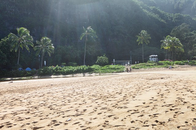 img00101.jpg