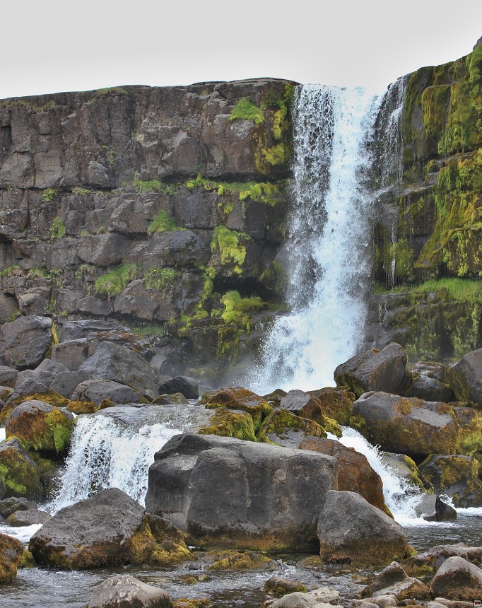 img00014.jpg