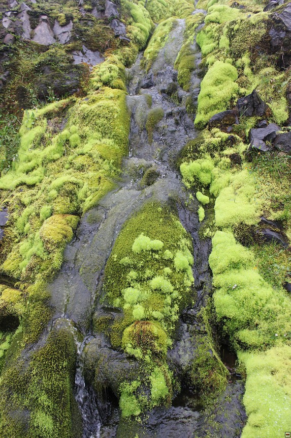 img00026.jpg