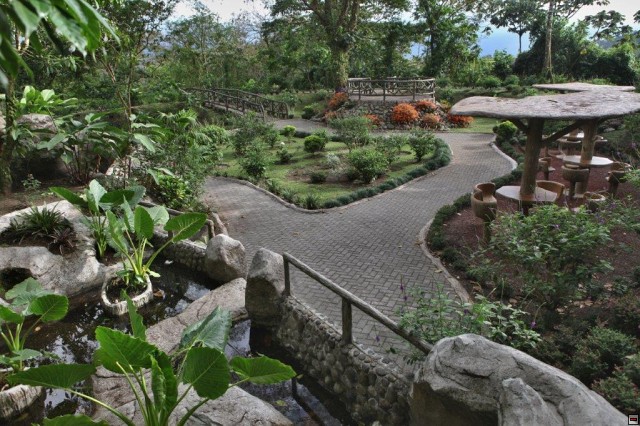 img00020.jpg