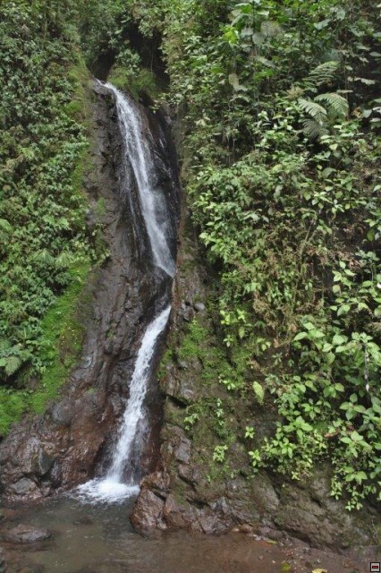 img00023.jpg