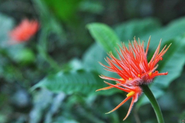 img00025.jpg