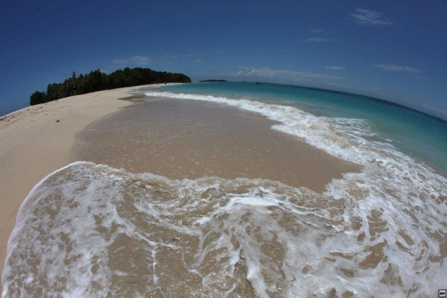 img00039.jpg