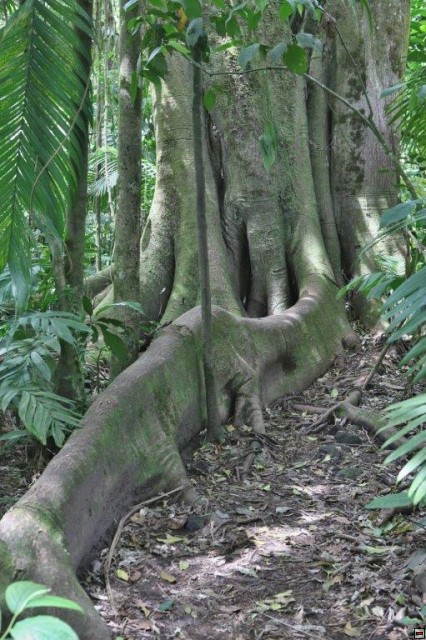 img00017.jpg
