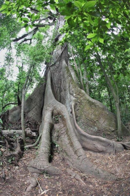 img00018.jpg