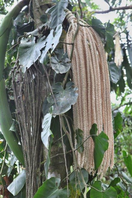 img00021.jpg