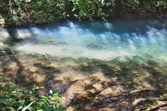 img00024.jpg