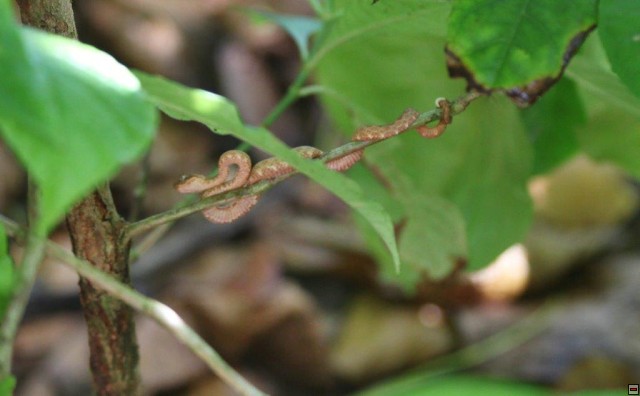 img00028.jpg