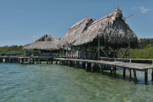 img00040.jpg