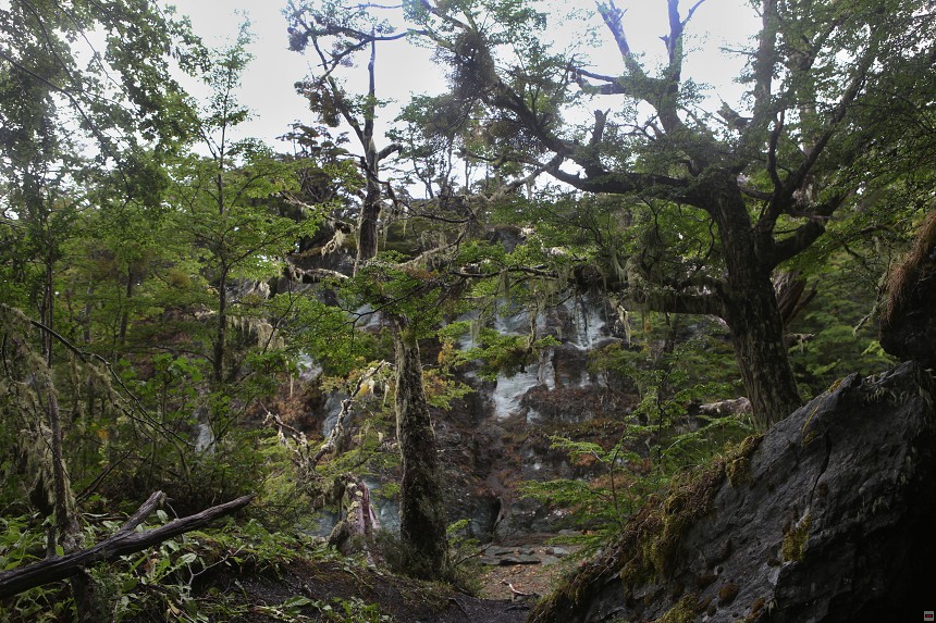 img00009.jpg