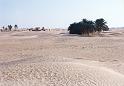 Sahara