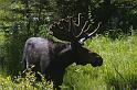 B011N.P.Teton-los